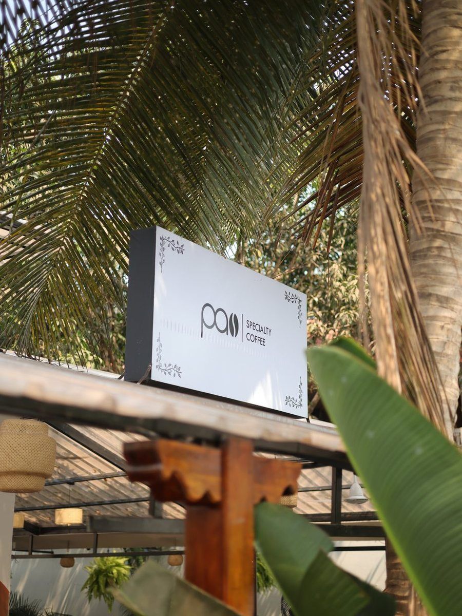 Signboard & Palms